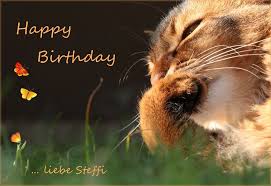 Nachtraglich Fur Steffi Foto Bild Spezial Katzen Geburtstag Bilder Auf Fotocommunity