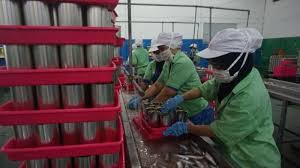 Gumelar, muhammad eriyana (2020) manajemen perkandangan ayam pedaging di pt as putra dan pengembangan masyarakat di desa patalagan kuningan jawa barat. Buntut Temuan Cacing Di Ikan Makarel Pabrik Setop Produksi Ribuan Buruh Pun Nganggur Tribun Jabar