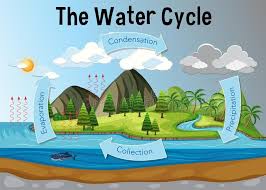 The Water Cycle Diagram Royalty Free Illustration In 2020 Water Cycle Diagram Water Cycle Model Water Cycle