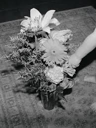 Allyson's flowers nevada iowa family florist local hand delivery ia Alessia Glaviano Der Greif