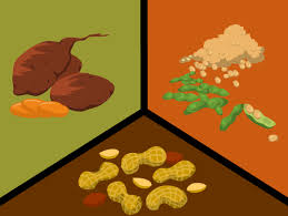 Learn about his difficult upbringing and how he sought out knowledge and later became a very successful inventor. George Washington Carver Brainpop