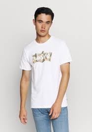 Original retro desert cactus print. ØªØ³Ø±ÙŠØ¹ ÙƒÙ… Ø®Ù†Ø²ÙŠØ± Levi S Housemark Graphic Tee Cazeres Arthurimmo Com