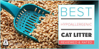 These are proteins broken apart so that the immune system cannot recognize them as a trigger for allergies. 6 Best Hypoallergenic Cat Litters With Our 2021 Budget Friendly Pick