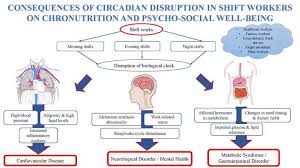 Menstrual bleeding (.7 days) compared to those working a. Ijerph Free Full Text Consequences Of Circadian Disruption In Shift Workers On Chrononutrition And Their Psychosocial Well Being Html
