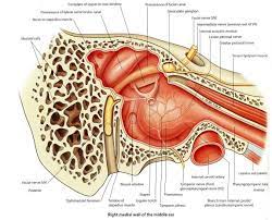 Pin On Study Medicine Mbbs In Ukraine