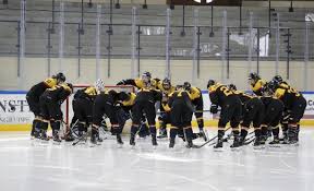 Insgesamt werden 16 mannschaften am wettbewerb teilnehmen. Eishockey Wm Der Frauen Soll Im August In Kanada Nachgeholt Werden
