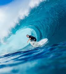 Image result for foto surfínie