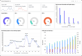 With executive and financial dashboard examples, you can see key metrics such as working capital, equity ratio, and ar and ap numbers. Finance Dashboards Interactive Dashboard Examples Bold Bi
