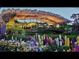 Uniknya, tulip di taman ini berisi berbagai macam warna dan tentunya sangat beragam. Taman Bunga Terindah Di Dunia Ada Di Jepang Ashikaga Flowers Park Youtube