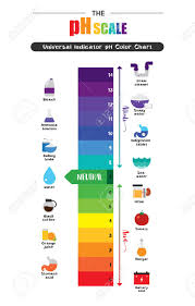 The Ph Scale Universal Indicator Ph Color Chart Diagram Acidic