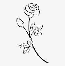 Today i decided to draw a rose with a 2b pencil a 5b charcoal pencil. Kisscc Silhouette Drawing Rose Black And White Flower Vintage Rose Rose Silhouette Free Transparent Png Download Pngkey