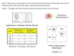 Forensic Science Blood Typing Lab Activity Ppt Download