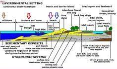 In this beach metal detector review we've compared water resistance, frequency, features, and cost. 27 Metal Detecting Florida Ideas Metal Detecting Florida Treasure Coast