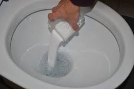 4 Soluzioni Naturali Per Eliminare Le Macchie In Bagno Pulizia Del Wc Pulizia Fornelli Pulizia Water
