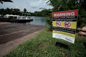 Lake anna business partnership is a group of wonderful local businesses that share the desire to see lake anna grow and thrive we have grown in strength and numbers continuously by promoting business, economic development and tourism at lake anna. What S Causing Toxic Algae Blooms In Lake Anna Virginia Mercury