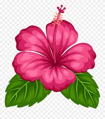 Blue Tropical Flowers Png Clipart Flower Illustration Flower Drawing Flower Clipart