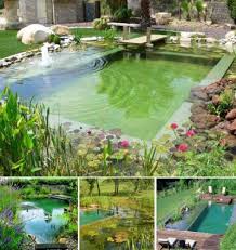 297 Best Ponds And Pools Images Naturschwimmbecken Schwimmbad Designs Gartenpools