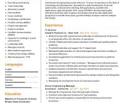 Resume sample for software development professional with experience as project lead. It Director Resume Example Cv Sample 2020 Resumekraft