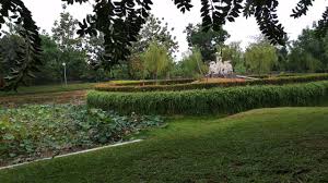 Tidak heran para pengunjung yang datang ke sini selalu berusaha menyempatkan diri untuk. Taman Cattleya Jakarta Indonesia Review Tripadvisor