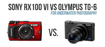 Sony Rx100 Vi Vs Olympus Tg 6 Underwater Photography