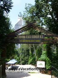 Hotels near kuala lumpur intl airport (kul) hotels near sultan abdul aziz shah airport (szb) motels near sultan abdul aziz shah airport (szb) motels near kuala outdoor activities in rawang. Kl Forest Eco Park