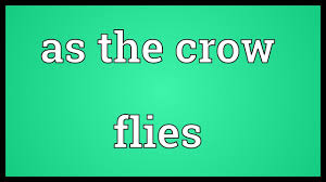 We must determine how widespread the naga's activity truly is and react accordingly. As The Crow Flies Meaning Youtube