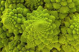 Des Photographies Incroyables De Fractales Decouvertes Dans La Nature Fractale Nature Geometrique Chou Romanesco
