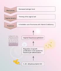 Calcium and vitamin d combination is a supplement that helps promote bone health, treat a calcium deficiency, and protect against osteoporosis. Jmm Journal Of Menopausal Medicine