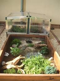 12620 johnson rd, petersburg (va), 23805, united states. Nachzuchten Der Griechische Landschildkroten Und Der Breitrandschildkroten Turtle Habitat Tortoise House Turtle Enclosure