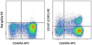 Ccr7 and its ligands link innate and adaptive immunity by affecting interactions between t cells and dendritic cells. Cd197 Ccr7 Antibody Pe 12 1979 42