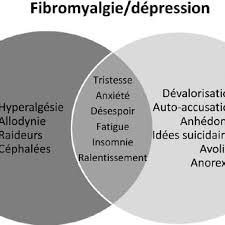 De griekse benaming voor deze aandoening is samengetrokken uit de woorden 'fibro' dat staat voor. Pdf La Fibromyalgie Est Elle Une Maladie Psychiatrique