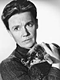 A lawless street is a 1955 american technicolor western film directed by joseph h. A Lawless Street 1955 Rotten Tomatoes