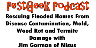 If you need to clean more than 10 square feet, check the u.s. Rescuing Flooded Homes From Contamination Mold Wood Rot And Termites