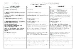 comparison chart worksheet achievelive co