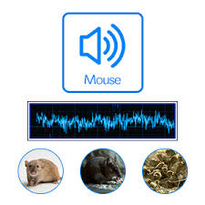 Why do pest analysis for your business. Amazon Com Opulexx Ultrasonic Pest Repeller 2 Packs Electronic Pest Defender Indoor Lcd Ultrasonic Repellent Plug In Pest Reject For Mice Rat Roach Mosquito Spider Human Pets Safe Black