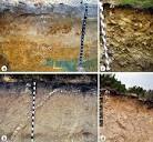 Examples of solum–subsolum classification: (a) A silt loam soil ...