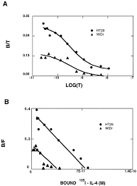 Hfi ih jh kh lh mh. Receptors For Interleukin Il 4 Do Not Associate With The Common Gchain And Il 4 Induces The Phosphorylation Of Jak2 Tyrosine Kinase In Human Colon Carcinoma Cells Journal Of Biological Chemistry