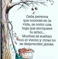 Resultado de imagen para reflexiones de vida