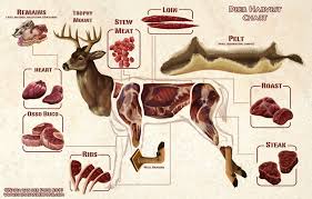 White Tailed Deer Butchering Diagram Mule Deer Easy Deer