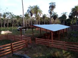 Matanza, sacrificio de ganado o faena (uso argentino, chileno y uruguayo) es el acto de matar el ganado para el consumo humano, habitualmente llevada a cabo en unas instalaciones específicas denominadas mataderos. Fabricacion De Corral Corrales Para Bovinos Y Ovinos 1071764 Clasipar Com En Paraguay