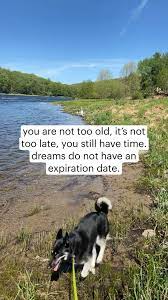 You Are Not Too Old It S Not Too Late You Still Have Time Dreams Do Not Have An Expiration Date An Immersive Guide By Jackie Thomaz