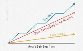 Does gaining weight faster yield extra muscle growth? How Fast Should We Gain Weight While Bulking Bony To Beastly