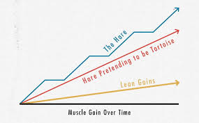 How to gain 2 kg weight in 3 days. How Fast Should We Gain Weight While Bulking Bony To Beastly