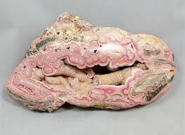 Image result for Rhodopentas