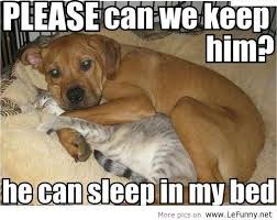Funny Animal Quotes With Pictures Yahoo Search Results Funny Animal Memes Funny Animal Pictures Cute Animals