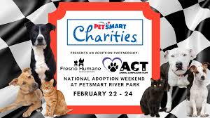 121 likes · 1 talking about this · 1,682 were here. Cheap Petsmart Animal The Y Guide