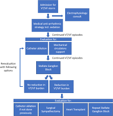 Image result for Ventricular Fibrillation Management in the Adult