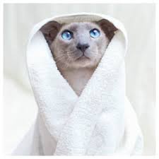 Gute, kurze und lustige witze. Neue Flachwitze 2020 2019 Aberwitzig Com