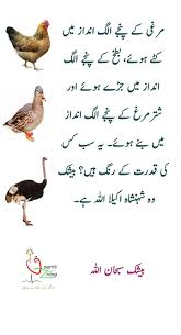 Pin By Shaimunir On Indeed In 2021 Muslim Images Inspirational Quotes Urdu Quotes