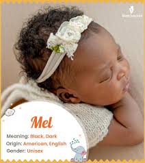 Melvin Name Meaning, Origin, History, And Popularity